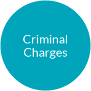 cyber criminal charges